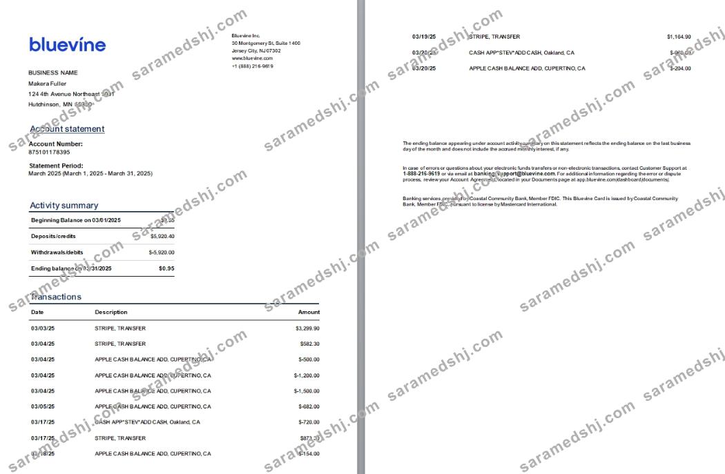 USA New Jersey Bluevine bank st, 3 pages, 1-2p